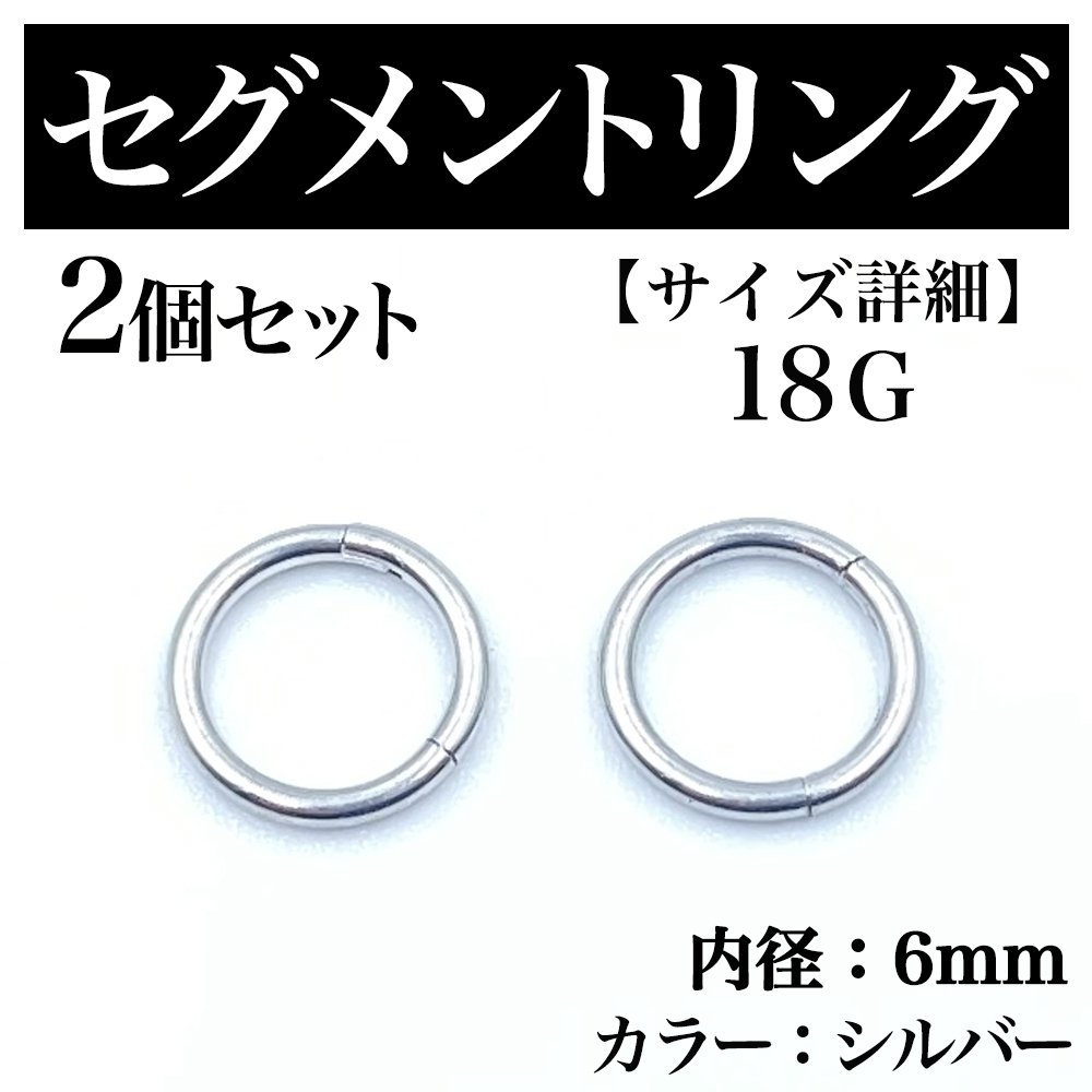 セグメントリング 18G 2本 フープピアス ボディピアス シルバー BP169拍卖