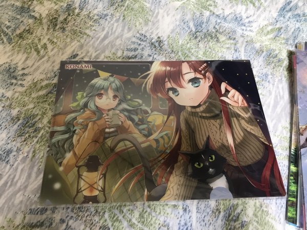 224クリアファイル ひなビタ ここなつ 星巡り 特典拍卖