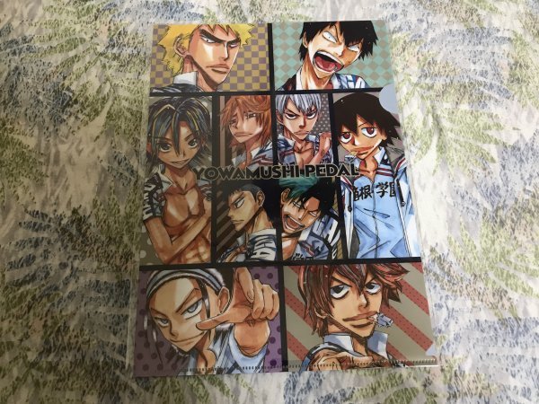 228クリアファイル 弱虫ペダル  箱根学園 原作柄 特典 真波山岳 荒北靖友 新開隼人 福富寿一 東堂尽八 泉田塔一郎拍卖