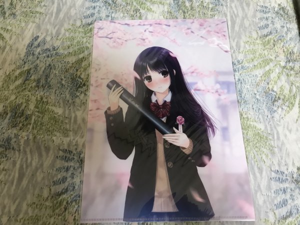 225クリアファイル  (和遥キナ) /僕と君と架空世界と 和遥キナ展 卒業式拍卖