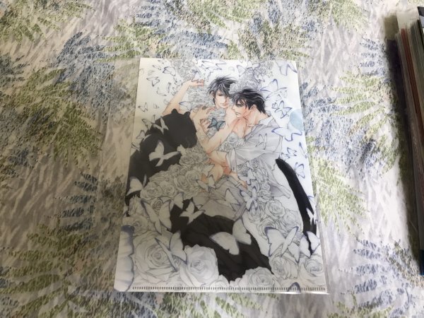 228クリアファイル 蓮川愛 岩本薫  白の純真 Prince of Silva コミコミスタジオ特典拍卖