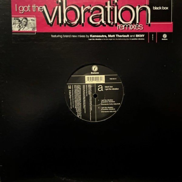 Black Box / I Got The Vibration (A Positive Vibration) (Remixes)拍卖