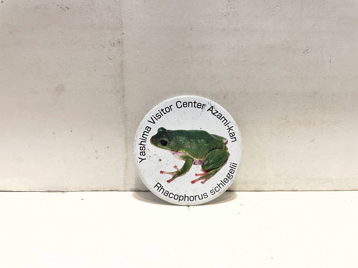 缶バッチ 矢島ビジターセンター あざみ館 カエル拍卖