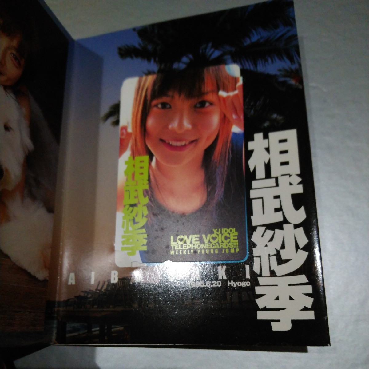 相武紗季 テレホンカード テレカ ヤングジャンプ 拍卖