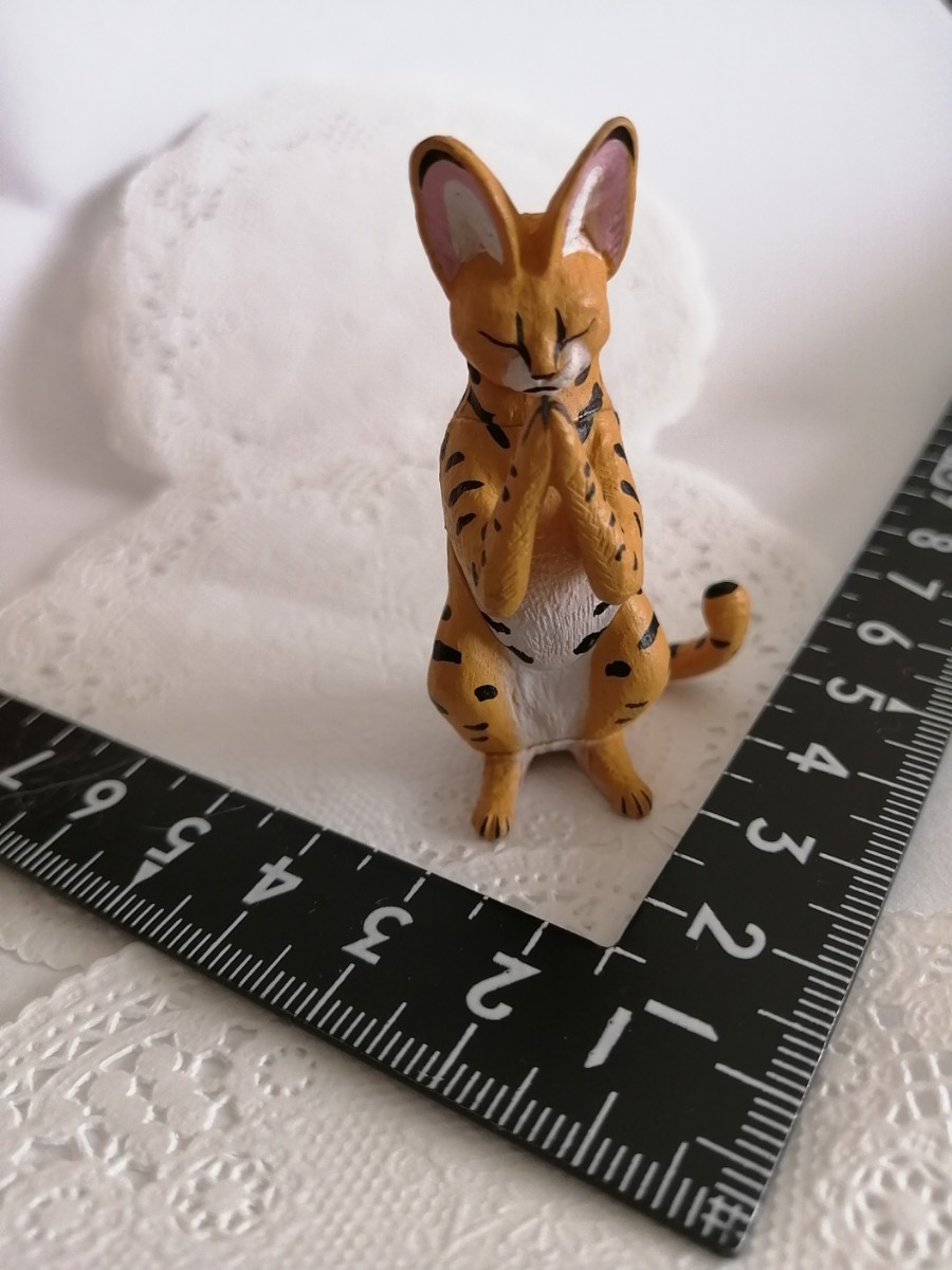 3r1025 ミニチュア ドール用 お友達 ペット サーバルキャット お願い ピュアニーモ リカちゃん ブライス momoko バービー 1/6ドール拍卖