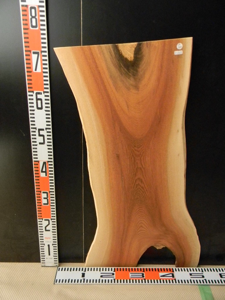 b3103023●72.3cm×28cm~39.5cm×8mm★欅☆無垢板1枚板 木材 板 DIY 板材 天板 棚板 テーブル 看板 花台など種類豊富!拍卖