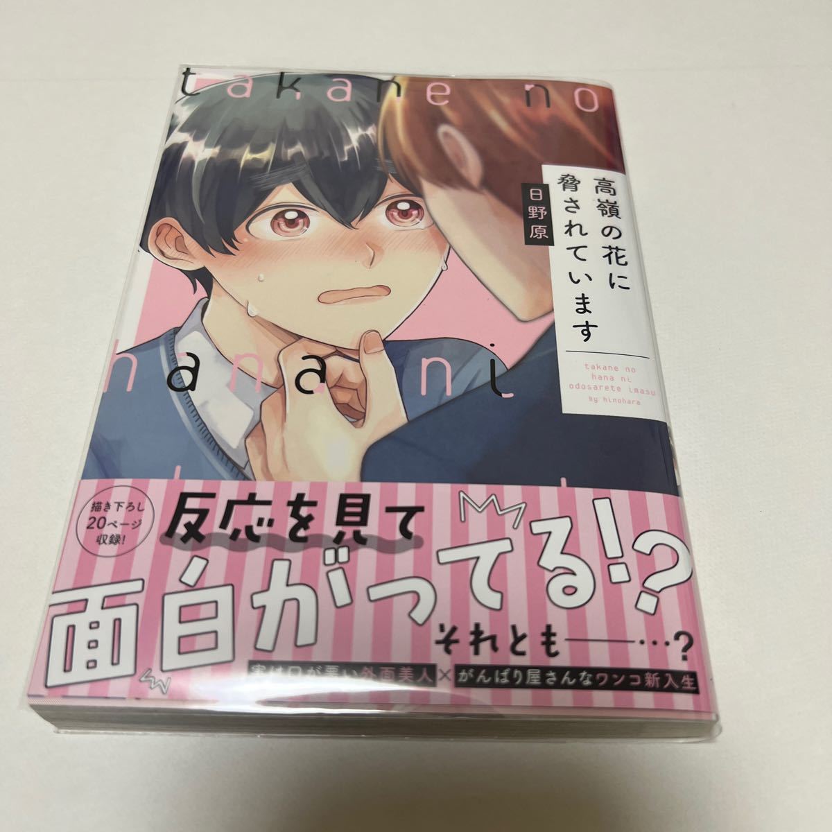 BL 4016 高嶺の花に脅されています…日野原拍卖