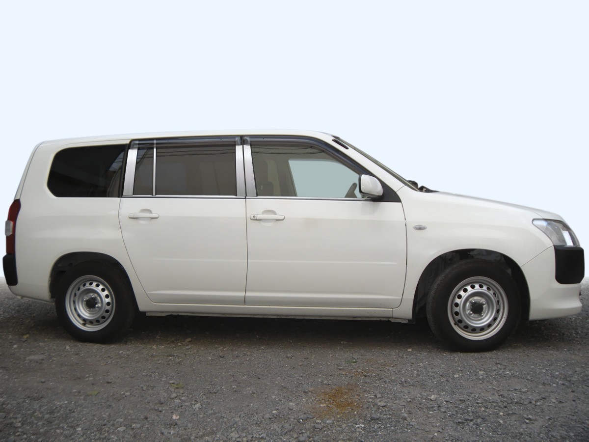 ステンレス ピラー 送料無料 NCP58 プロボックス 8P ヘアライン カーパーツ拍卖