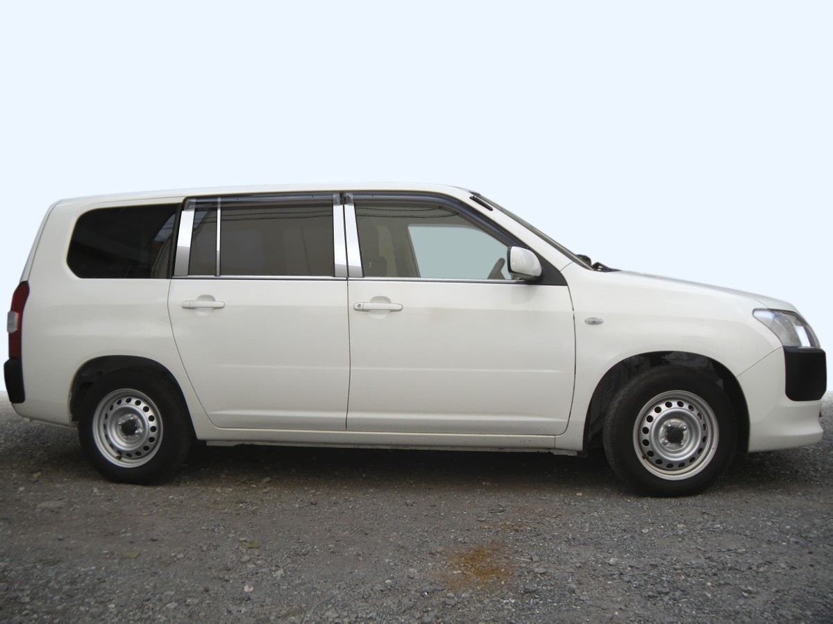 ステンレス ピラー 送料無料 NCP58 プロボックス 8P 鏡面HYPER カーパーツ拍卖