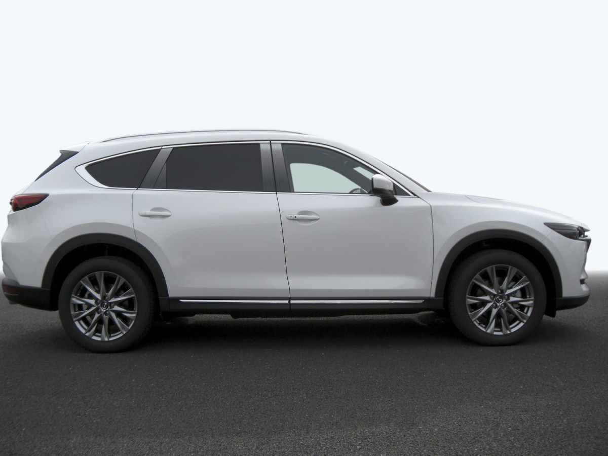 ステンレス ピラー 送料無料 KG2P CX-8 10P ヘアライン ブラック カーパーツ拍卖