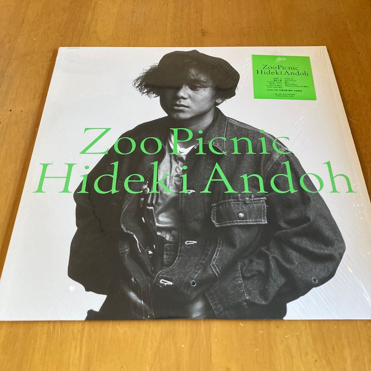 安藤秀樹 ZonPicnic アナログ シュリンクつき拍卖