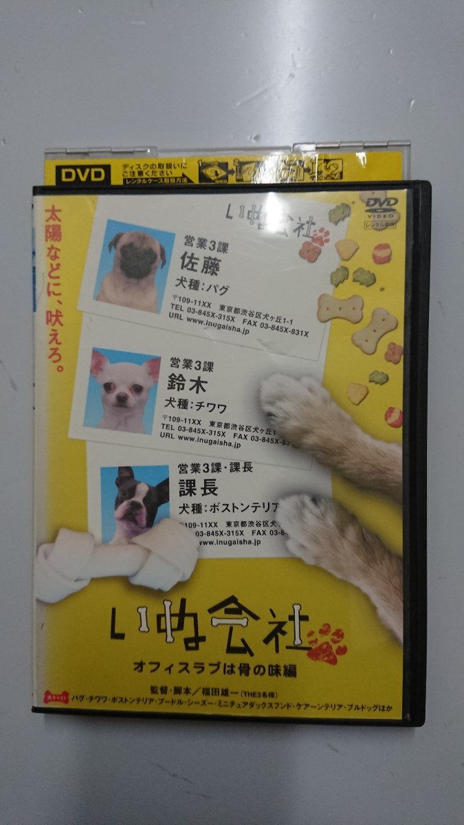 いぬ会社 オフィスラブは骨の味編 DVD拍卖