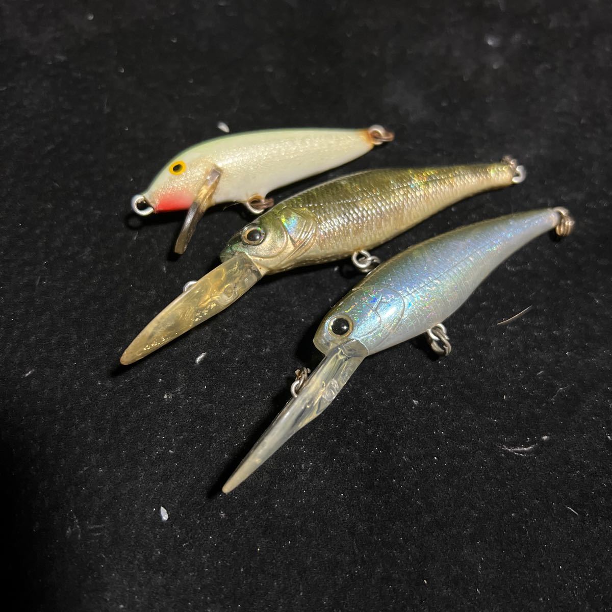 ライブXマーゲイ ステイシー ラパラ 中古セット拍卖