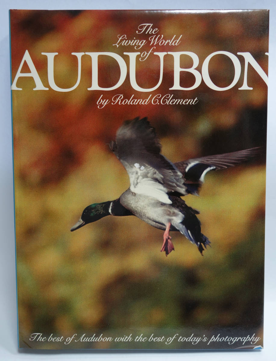 The Living World of AUDUBON オーデユボンの世界 鳥類 博物画 ジョン・ジェームズ・オーデユボン拍卖