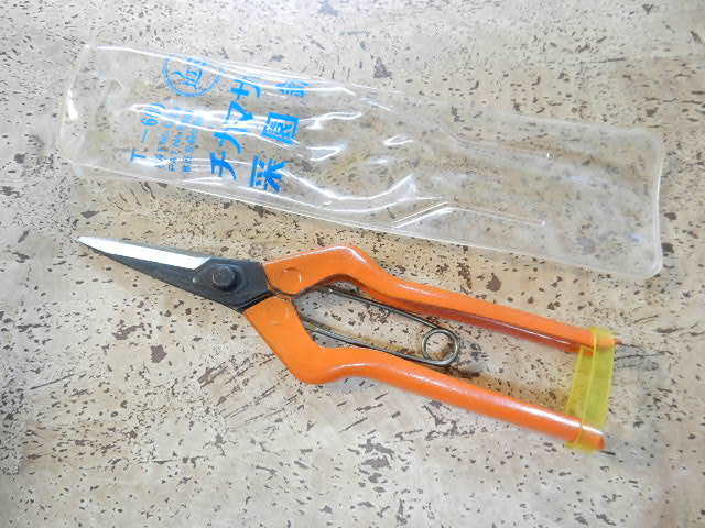 @ チカマサ 菜園鋏 接種鋏 T-600 新品未使用拍卖
