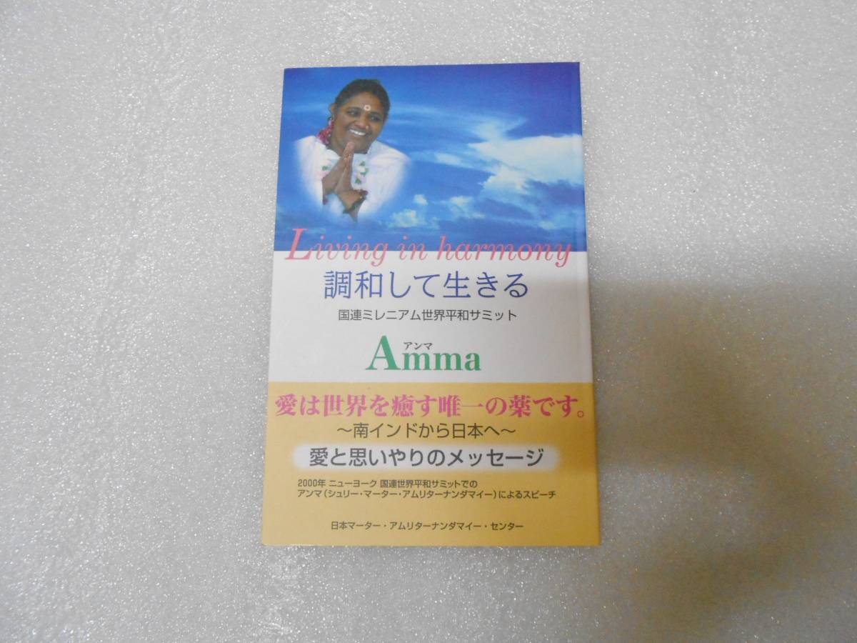 調和して生きる 国連ミレニアム世界平和サミット  マーター・アムリターナンダマイー 聖母アマチ インド ヨガ アンマ 講演 拍卖