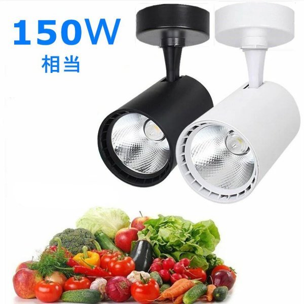 シーリングライト 壁掛け照明 スポットライト150W シーリングライト 天井照明 壁掛けライト 食卓用 インテリア拍卖