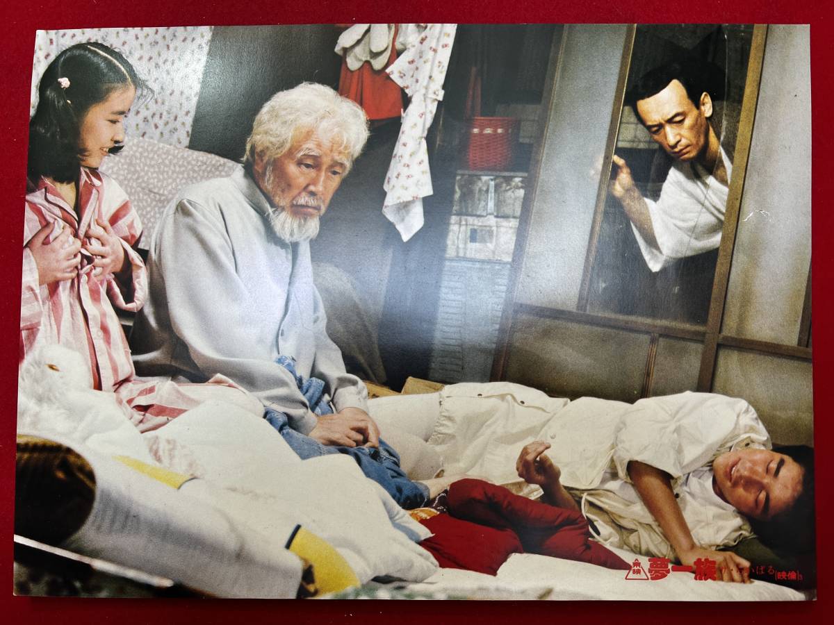 ly00601『夢一族 ザ・らいばる』ロビーカード 森繁久彌 郷ひろみ 岸本加世子 内田裕也 結城しのぶ 衣麻遼子 伊東四朗 俊藤浩滋拍卖