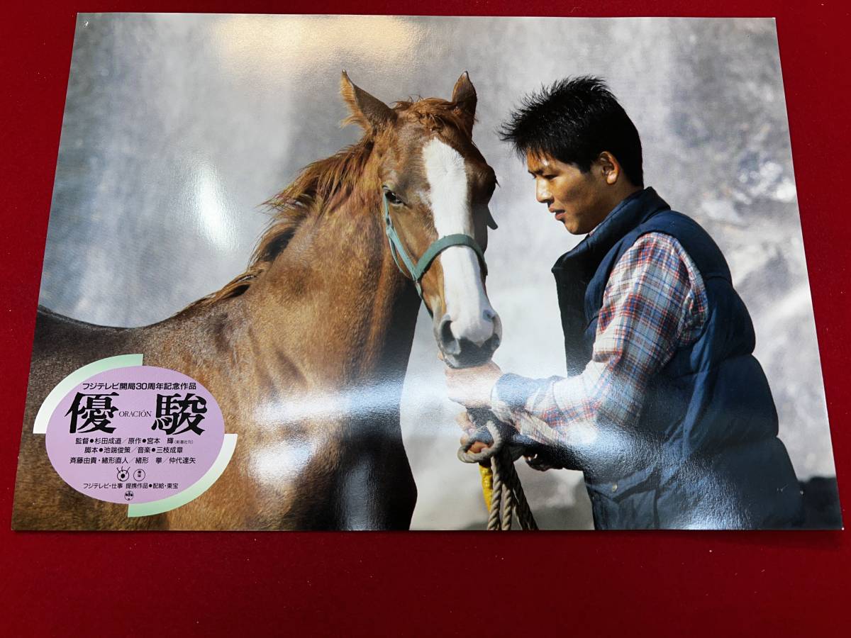 ly00650『優駿 ORACION』ロビーカード 斉藤由貴 緒形直人 吉岡秀隆 加賀まりこ 吉行和子 林美智子 緒形拳 仲代達矢拍卖