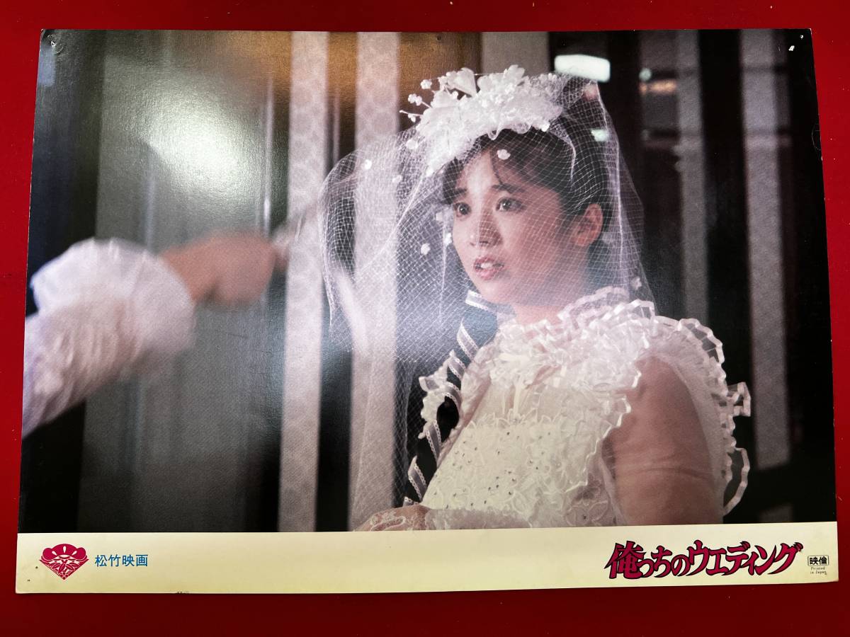 ly00686『俺っちのウエディング』ロビーカード 時任三郎 宮崎美子 伊武雅刀 美保純 竹井みどり 安岡力也拍卖