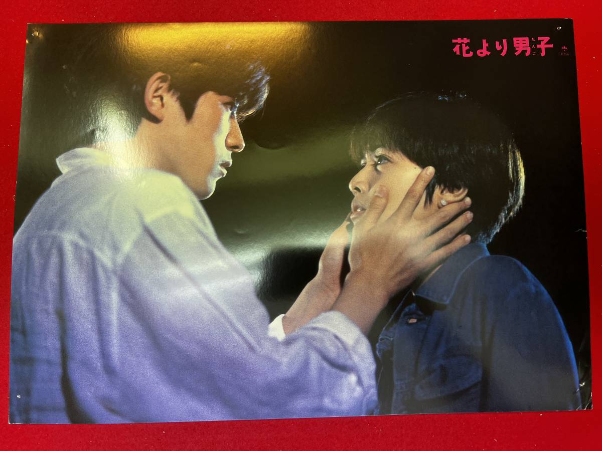 ly00768『花より男子』ロビーカード 楠田泰之 周防郁雄 神尾葉子 内田有紀 谷原章介 藤木直人 藤原紀香 TRF 清水ミチコ拍卖