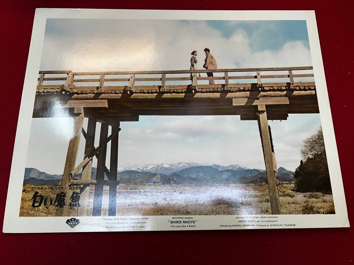 ly00917『白い魔魚』ロビーカード 中村登 有馬稲子 石浜朗 高峰三枝子 川喜多雄二 杉田弘子 上原謙拍卖