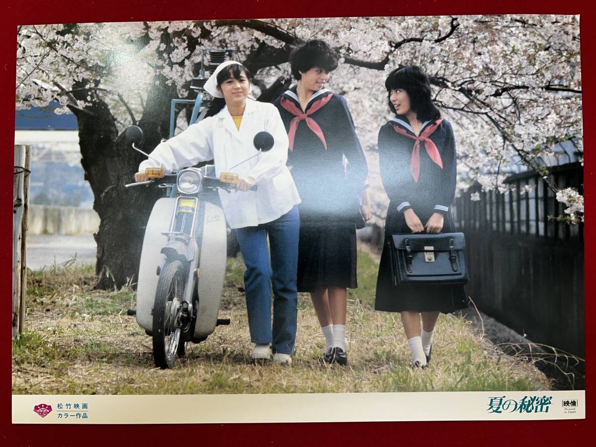 ly00922『夏の秘密』ロビーカード 川上裕通 細野晴臣 北原佐和子 真鍋ちえみ 三井比佐子 若山富三郎 松尾嘉代 ビートたけし拍卖
