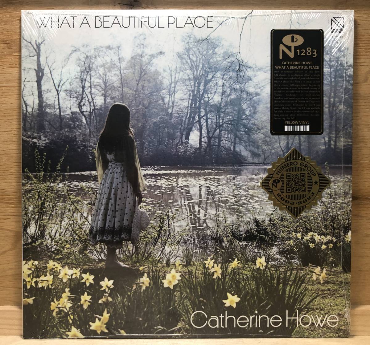 □□11-LP【12312】-【◆未開封/RE】CATHERINE HOWEキャサリン・ハウ★WHAT A BEAUTIFUL PLACE拍卖
