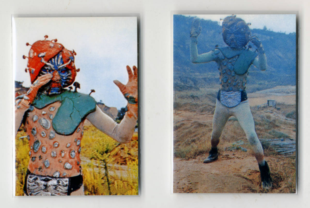 ◆防水対策 厚紙補強 カルビー 仮面ライダーチップスカード(1999 復刻版) 21番a 21番b 異種カード2枚セット 死霊キノコモルグ 即決拍卖