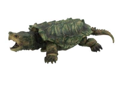 レア★ミニチュアフィギュア★ハコガメ バンダイ ガチャガチャ 監修 守亜 5、ワニガメ リアルカラーver拍卖