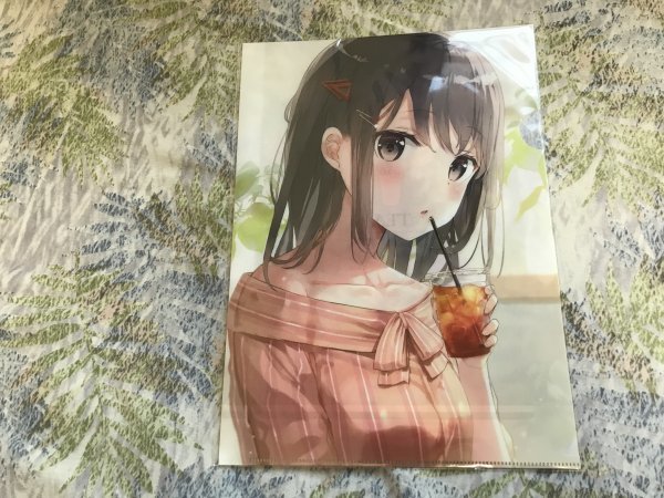 d249クリアファイル (ふーみ) C95/ラジアルエンジン ホロライブ 角巻わため 絵師拍卖