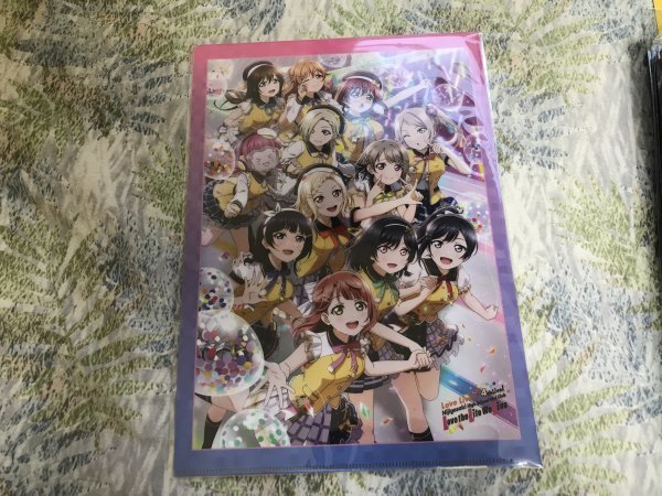 d245クリアファイル ラブライブ!虹ヶ咲学園スクールアイドル同好会 4th Live! BD ゲーマーズ特典拍卖