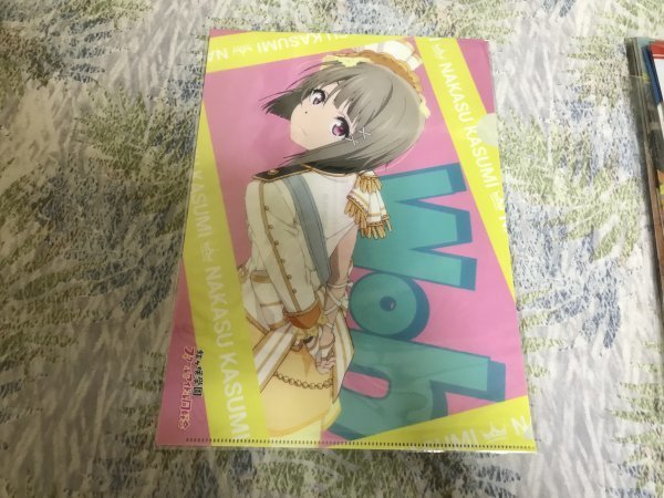 d246クリアファイル ラブライブ! 虹ヶ咲学園スクールアイドル同好会×ドン・キホーテ 1年生 中須かすみ拍卖