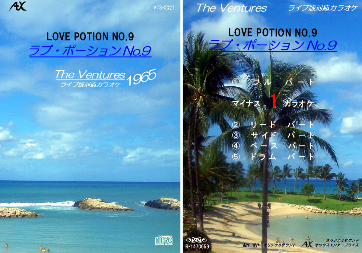 VTS-027 ベンチャーズカラオケ ラブ・ポーションNo.9 1965 試聴OK コード譜閲覧可 THE VENTURES LOVE POTION No.9拍卖