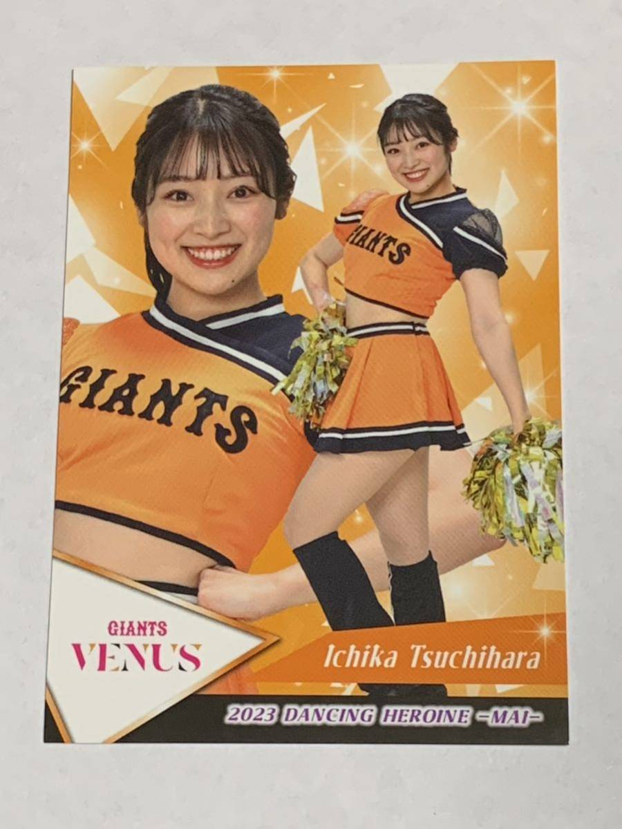 土原一花 2023 BBM チアリーダー 舞 レギュラーカード 巨人 VENUS 即決拍卖