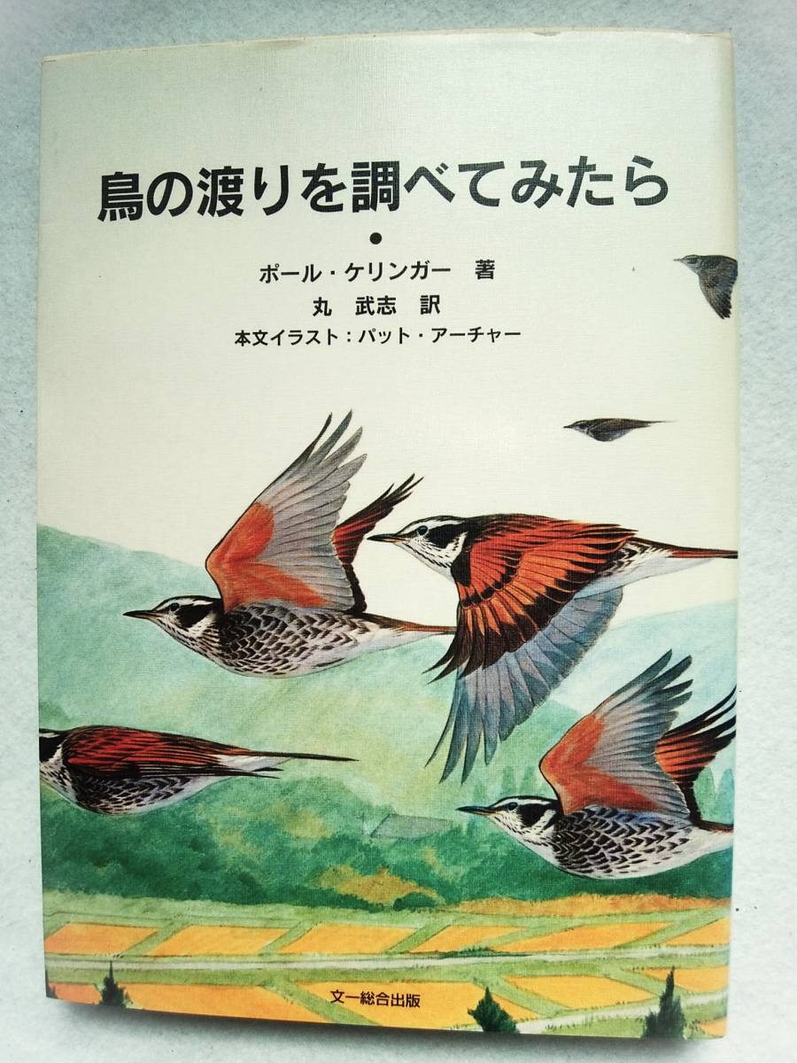 鳥の渡りを調べてみたら ポール・ケリンガー 著 ; 丸武志 訳拍卖