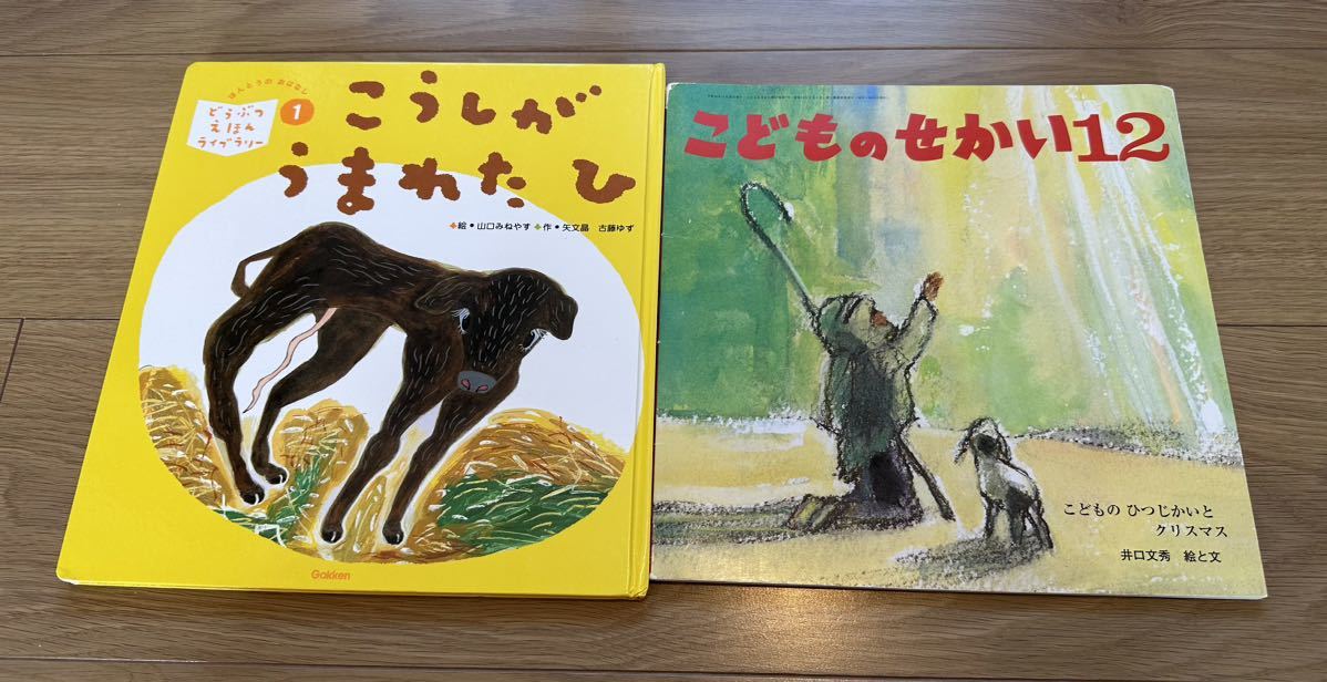 子供 キッズ 絵本 こどものせかい こうしがうまれたひ拍卖