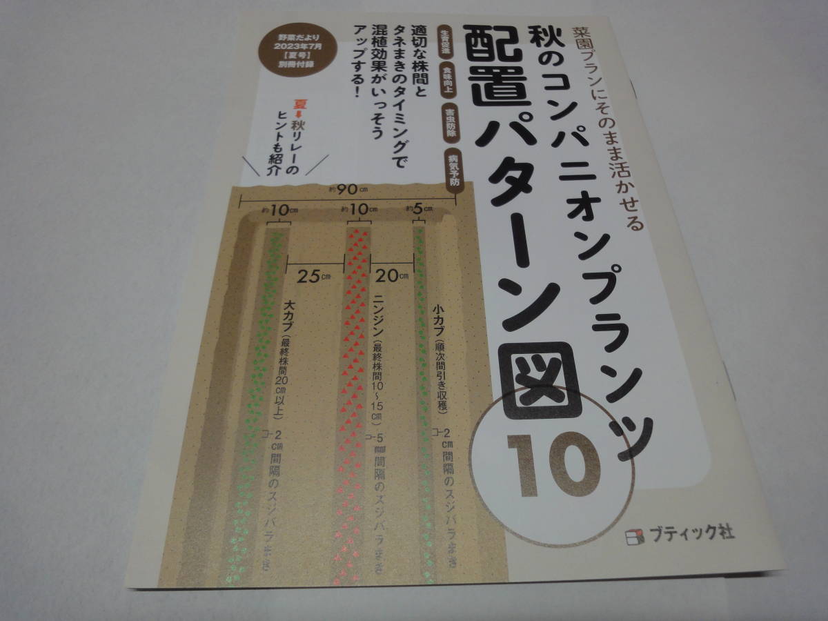 ★☆【野菜だより付録】 秋のコンパニオンプランツ 配置パターン図☆★拍卖