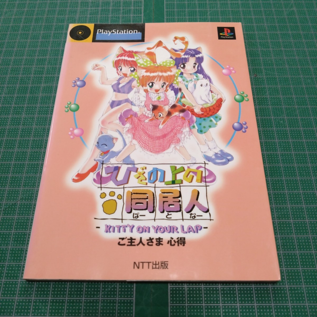 ひざの上の同居人(パートナー)―KITTY ON YOUR LAP―ご主人さま心得拍卖