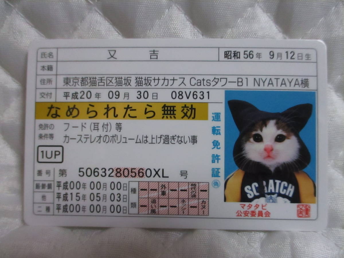 【 なめ猫 又吉 】 免許証 なめられたら無効 ゴールド 新品 即決 耳付フード なめんなよ なめ猫同梱検索拍卖
