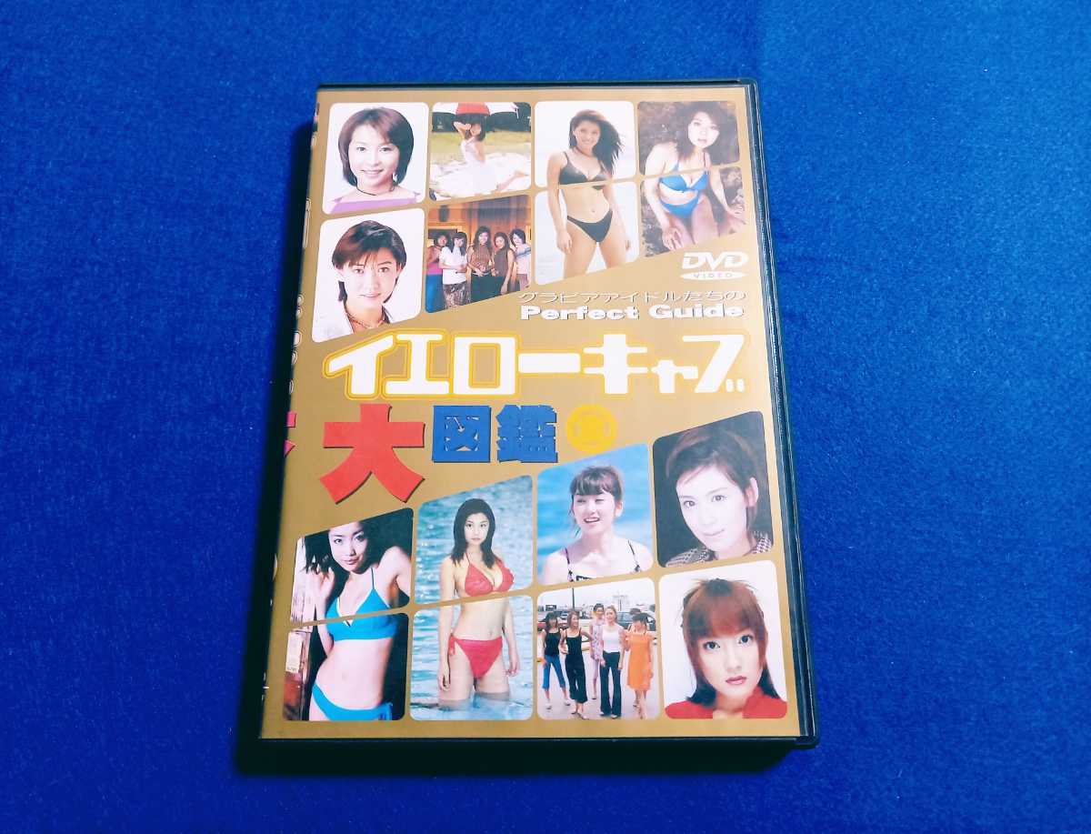 ☆DVD ディスク美品☆ イエローキャブ大図鑑 金 イメージ 細川ふみえ かとうれいこ 雛形あきこ 小池栄子 佐藤江梨子 他 グラビア アイドル拍卖