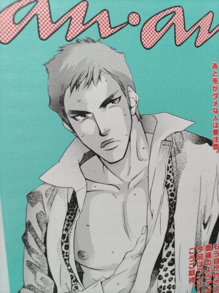 スラムダンク同人誌、anan、流川X花道、扇ゆずは拍卖