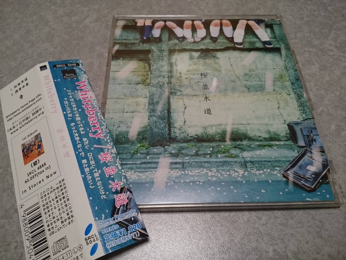 Whiteberry ホワイトベリー「桜並木道」CD 帯付 5thシングル拍卖