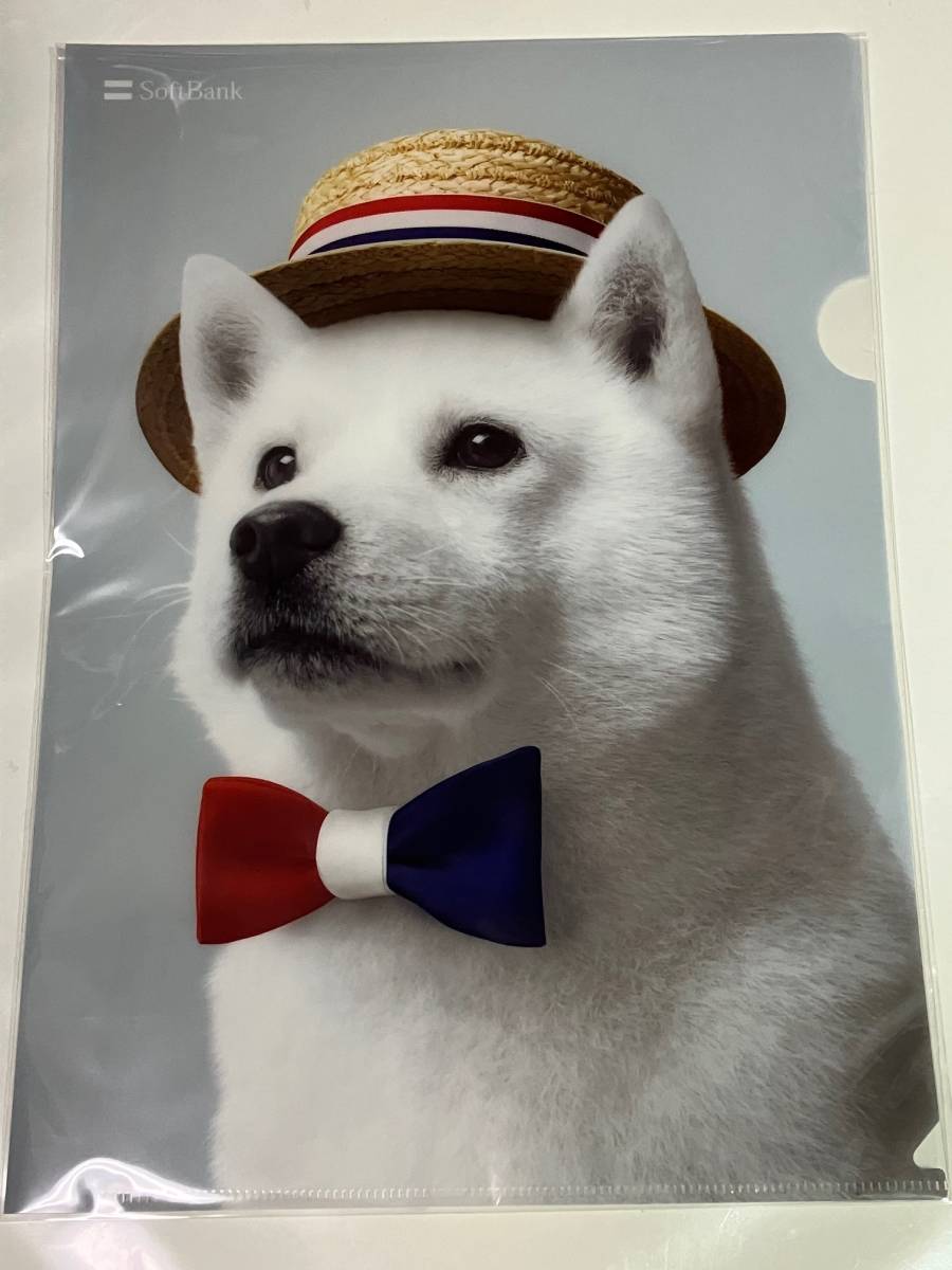 帽子☆ 非売品クリアファイル ソフトバンク お父さん犬拍卖