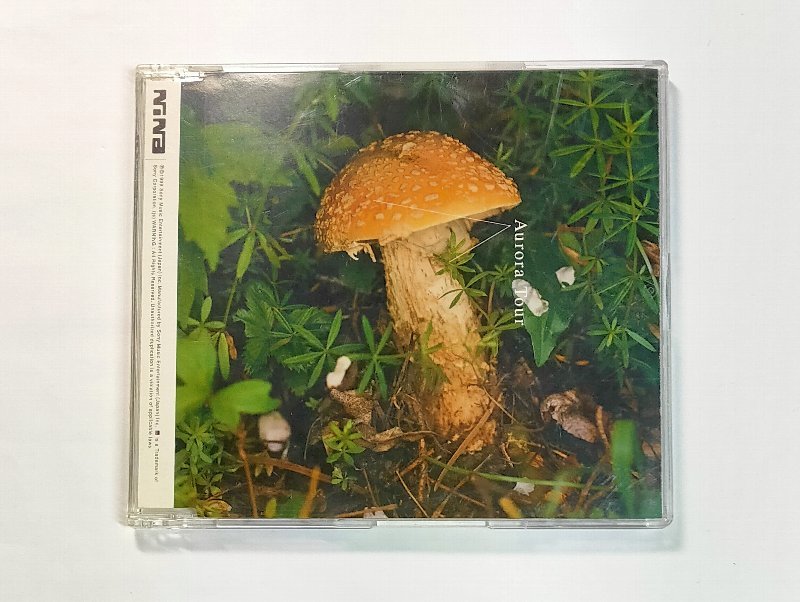 ニナ / オーロラ・ツアー NiNa Aurora Tour 8cmシングル CD YUKI拍卖