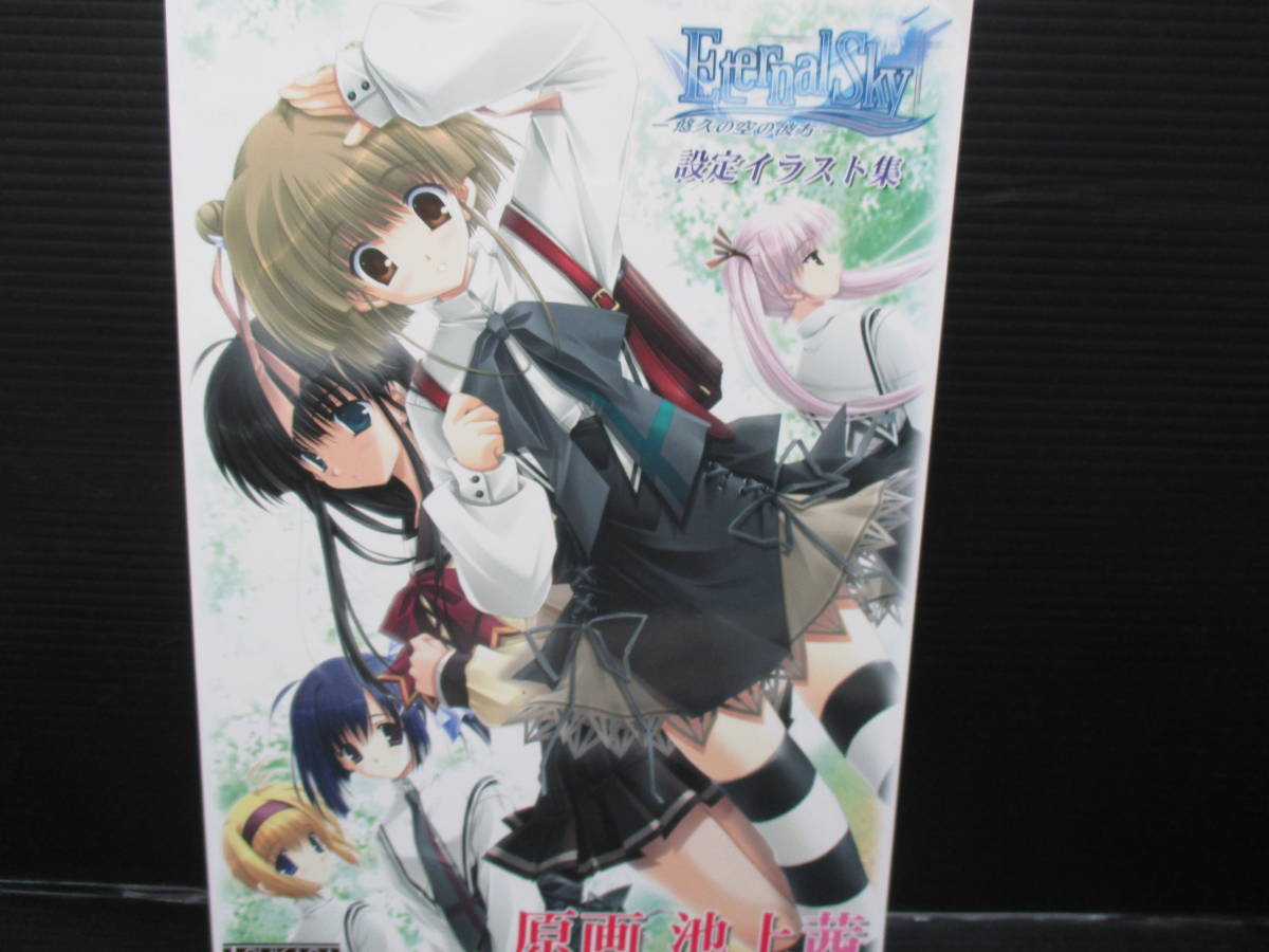 男性向一般同人誌 Eternal Sky -悠久の空の彼方- 設定イラスト集 /池上茜 TSUKASA g23-12-28-2拍卖