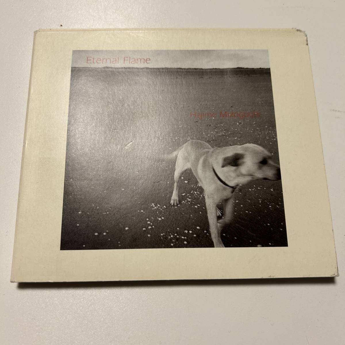 紙ジャケット仕様★溝口肇 ETERNAL FLAME チェリスト チェロ★拍卖