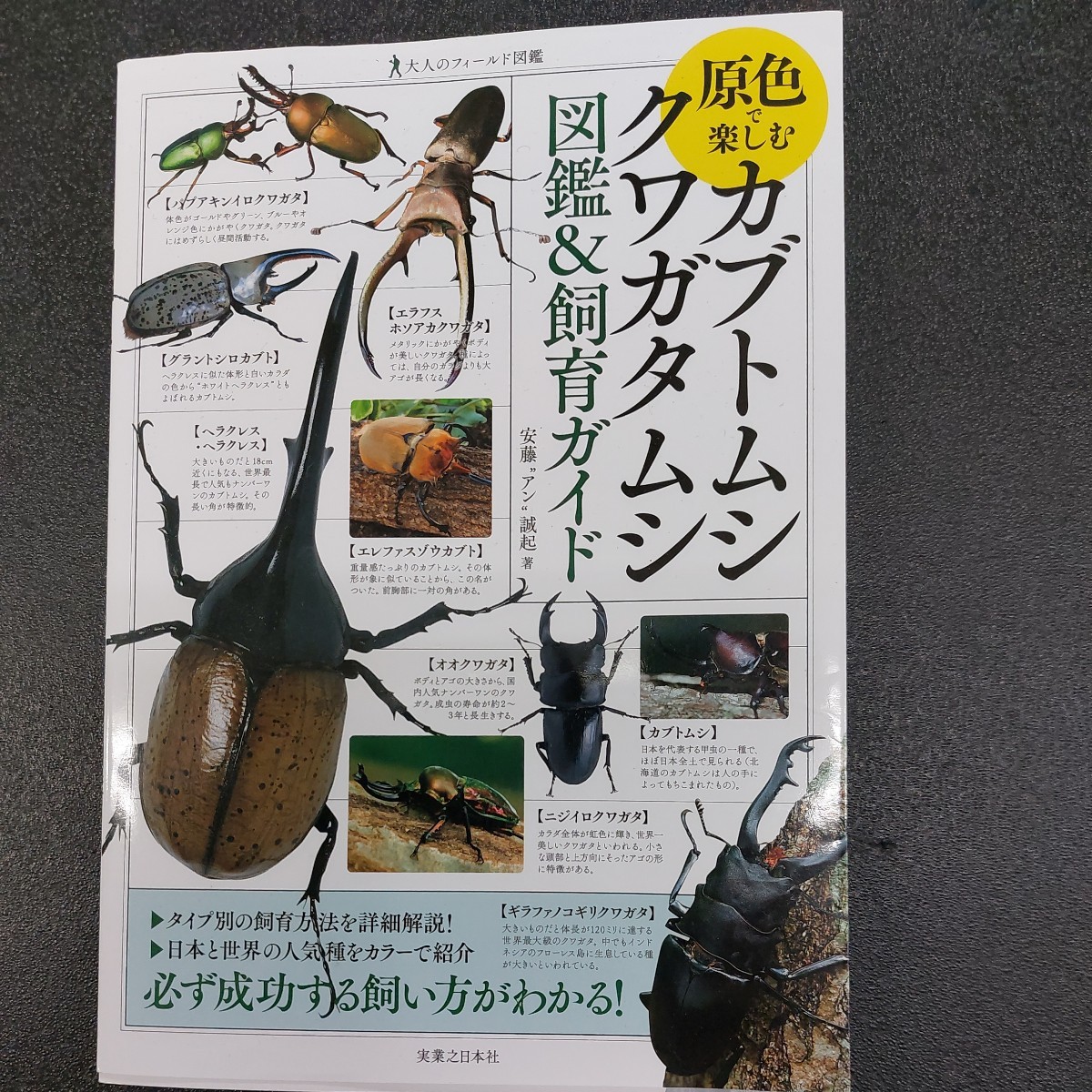 原色で楽しむ カブトムシ、 クワガタムシ 図鑑&飼育ガイド 安藤アン誠起著拍卖