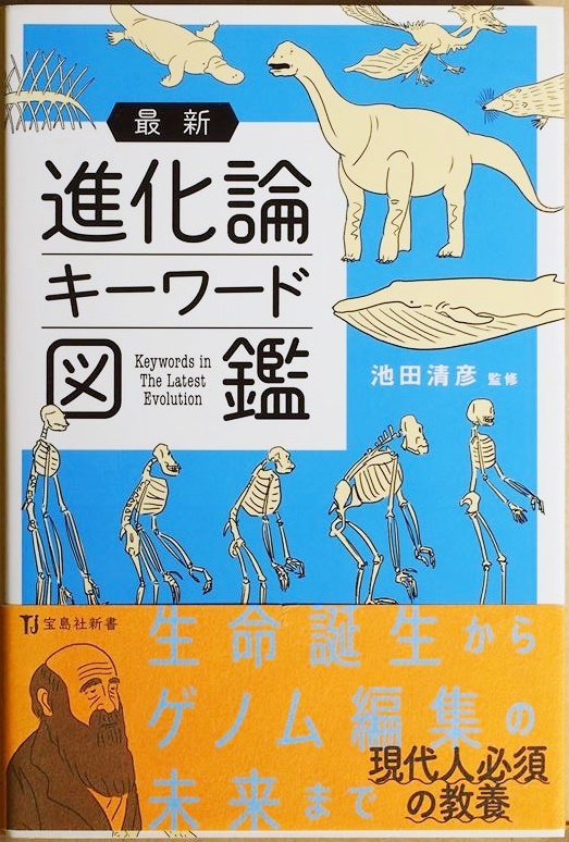 ★送料無料★ 『最新進化論 キーワード図鑑』 「進化学」にまつわる用語をイラスト 解説 池田清彦 イラスト付きで200以上の用語 新書拍卖