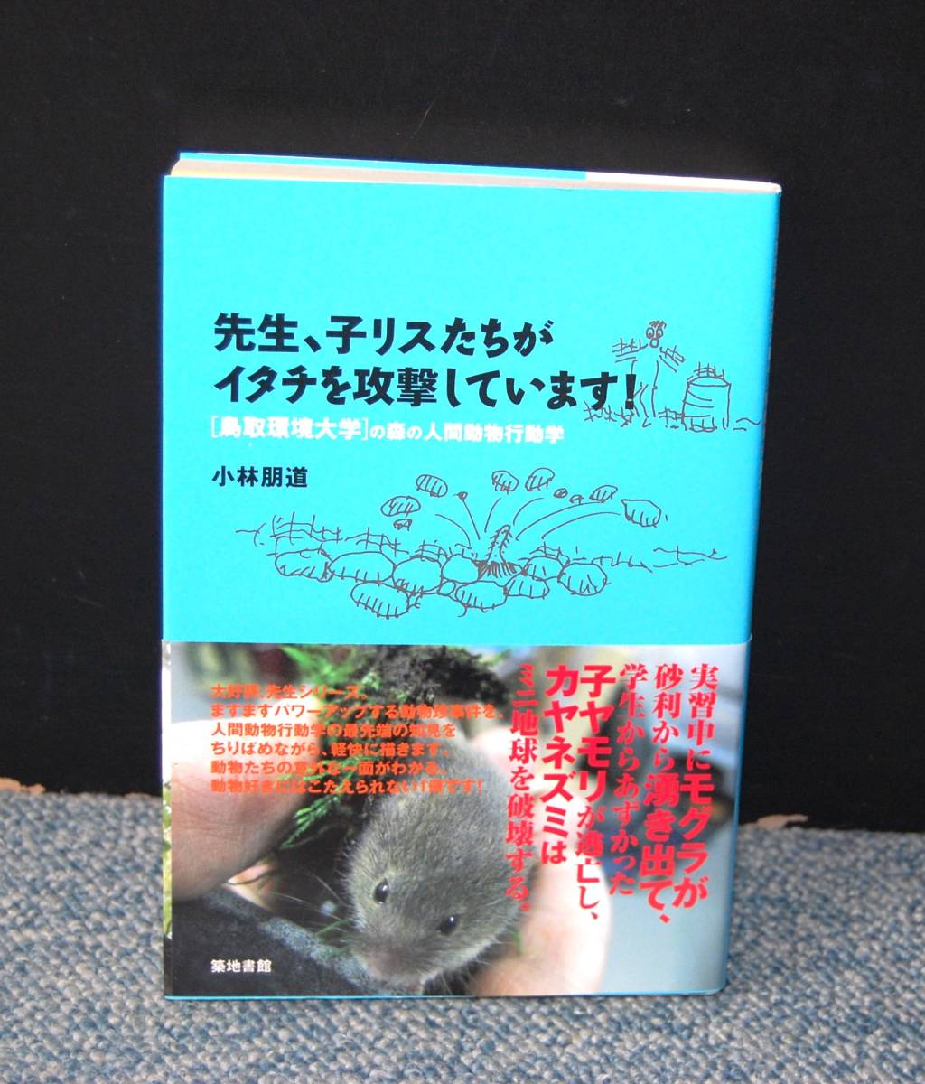 先生、子リスたちがイタチを攻撃しています!鳥取環境大学の森の人間動物行動学 小林朋道/著 築地書館 帯付き 西本2439拍卖